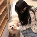 生存岛屿国王游戏下载